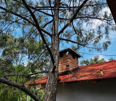 Mazamitla House | Cabaña el roble