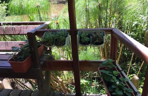 Partido de Tigre Cabin | Cabaña en el Delta Arroyo Pajarito a 20 minutos de navegación