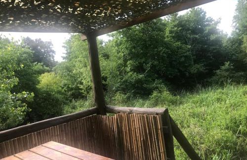 Partido de Tigre Cabin | Cabaña en el Delta Arroyo Pajarito a 20 minutos de navegación