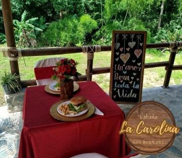 Ibague Apartment | Cabaña La Carolina