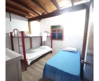 Cocorna Cabin | Cabaña Raíces del Bosque