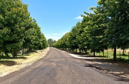Partido de Monte Ski Chalet | Cabaña San Miguel del Monte