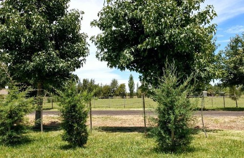 Partido de Monte Ski Chalet | Cabaña San Miguel del Monte