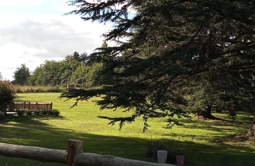 Tandil Cabin | Cabañas Cuncumen