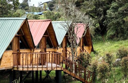 Choachi Other | Cabañas del bosque