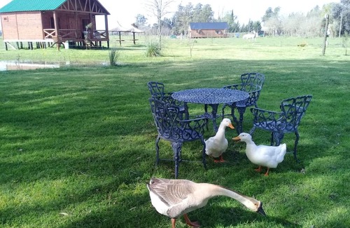 Uribelarrea Cabin | Cabañas Jamakimel