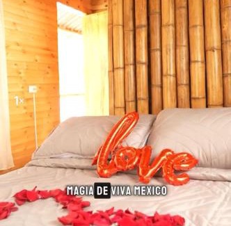Ibague Hotel | Cabañas Viva Mexico