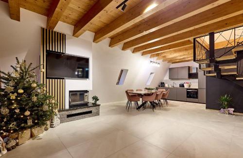 Borsa Ski Chalet | Cabana Ana