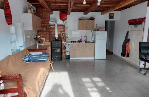 Arpasu de Sus House | CABANA CASA LU'BACIU