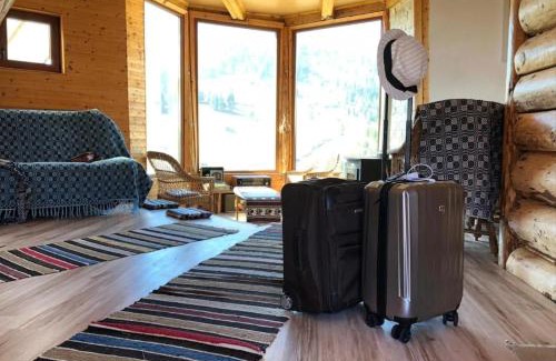 Vama Ski Chalet | Cabana cu hamac