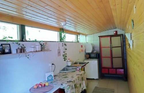 Lunca Bradului Ski Chalet | Cabana din padure