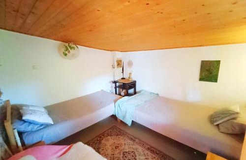 Lunca Bradului Ski Chalet | Cabana din padure