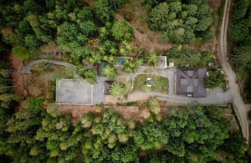 Calatele House | Cabana din padure si casutele din copac Belis