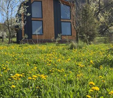 Gura Teghii House | Cabana Magic Pine Nest