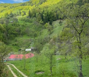 Gura Teghii House | Cabana Magic Pine Nest