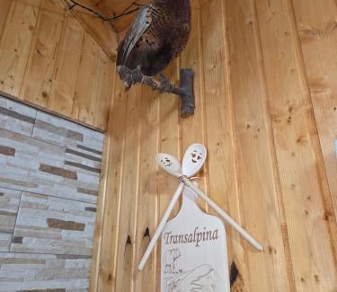 Baisoara House | Cabana Montis River