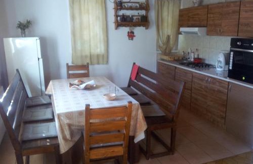 Valiug House | Cabana Ninel