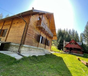 Toplita Villa | Cabana Pastravarul