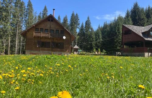 Toplita Villa | Cabana Pastravarul