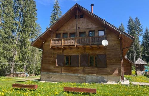 Toplita Villa | Cabana Pastravarul