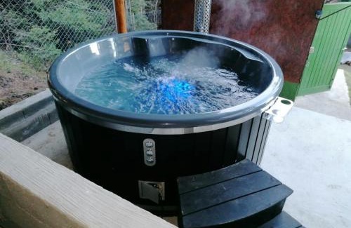 Sincraieni Apartment | Cabana veverita