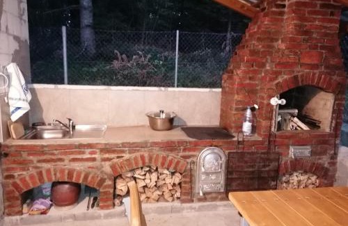 Sincraieni Apartment | Cabana veverita