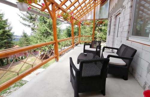 Sincraieni Apartment | Cabana veverita