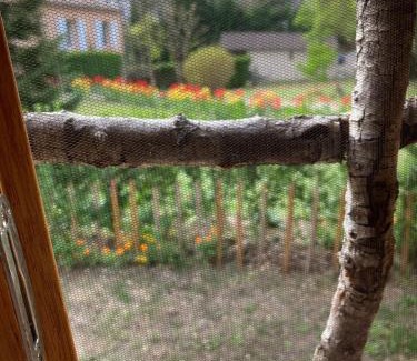 Aiguelèze Ski Chalet | Cabane insolite entre Albi et Cordes-sur-ciel
