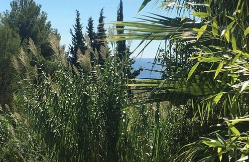 Carqueiranne House | CABANON