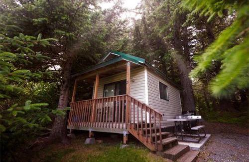 Haines House | Cabin 3 Lynn View Lodge