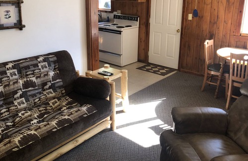 Hines Resort | Cabin 5 Family/Pet Friendly Resort Amenities Dock Fishing Beach Resort Amenities