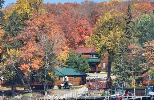 Deer River Cabin | Cabin 9 - Cozy private studio cabin on the lakeshore