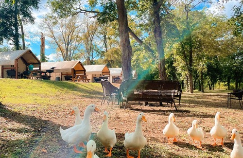 Prairie Lea Cabin | Cabin at Son's Blue River Camp! Stay here & enjoy the gorgeous San Marcos River!