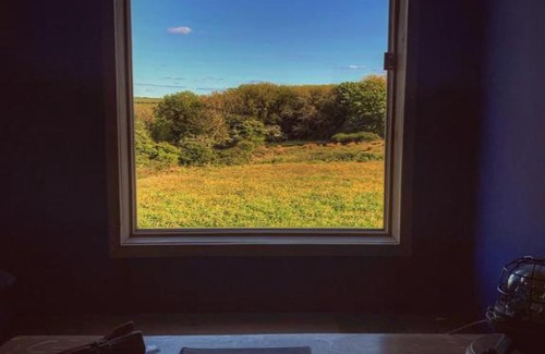 Haverfordwest Other | Cabin Bach at Folkeston Farmyard