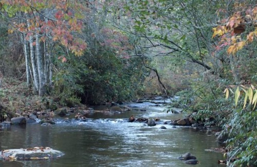 Unaka Cabin | Cabin & Hot Tub on Rushing Trout Stream in the Great Smokey Mountains