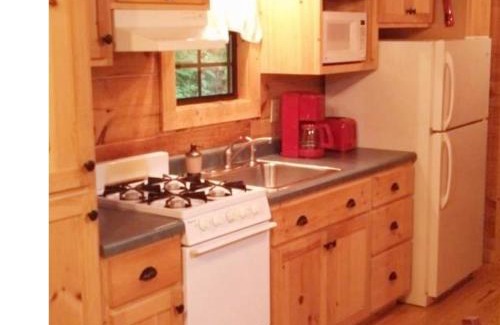 Hendersonville House | Cabin in the Woods-Peaceful 1BR 20-Acre Rural Retreat-HotTub&WiFi near Asheville