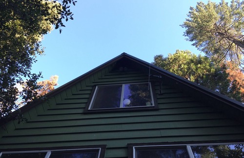 Camp Connell Cabin | Cabin on the Creek: Dog Friendly