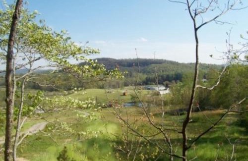 Hendersonville House | Cabin on the Hill-Peaceful 1BR 20-Acre Rural Retreat-HotTub&WiFi near Asheville