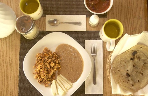 Los Cabos Cabin | Cabin retreat a few steps from waterfall