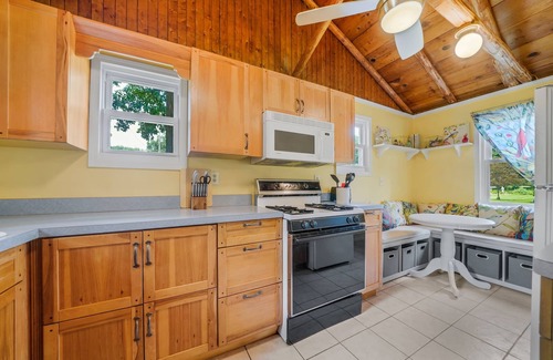 Clarklake Cabin | Cabin, rustic elegance w/hot tub, lake access