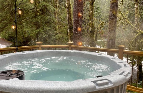 Glacier House | Cabin with Hot Tub about 18 Mi to Mt Baker Ski Area!