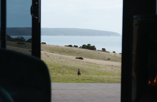 Willoughby Cabin | CABN Kangaroo Island Ocean View Private Off Grid Luxury Accommodation