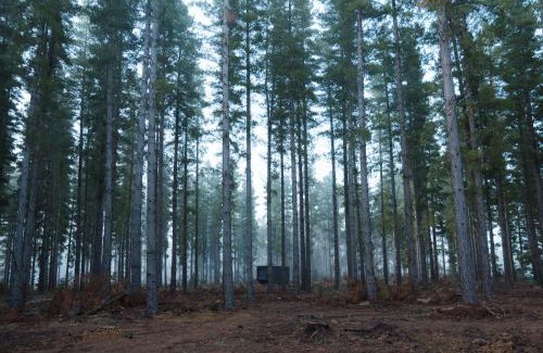 Kuitpo Cabin | CABN Kuitpo Forest