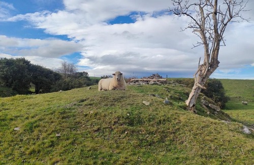 Roxburgh Villa | Caithness