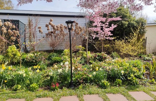 Roxburgh Villa | Caithness