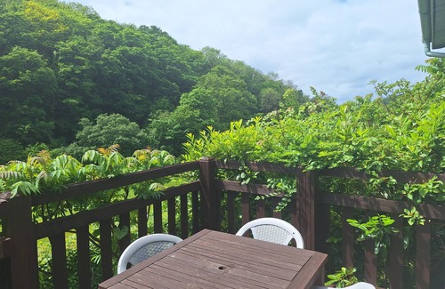 Saint Gennys Cottage | Callowen Cottage, Crackington. Holidays at Crackington Haven