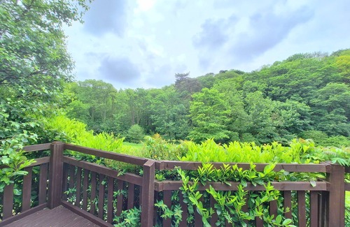Saint Gennys Cottage | Callowen Cottage, Crackington. Holidays at Crackington Haven