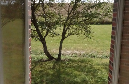 Chaumot House | Calm and authenticity 1h30 south of Paris - Welcome to Calmerie! 3 *