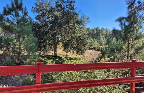 Arx House | Calme et paisible maison au milieu de la foret