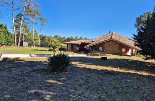 Arx House | Calme et paisible maison au milieu de la foret
